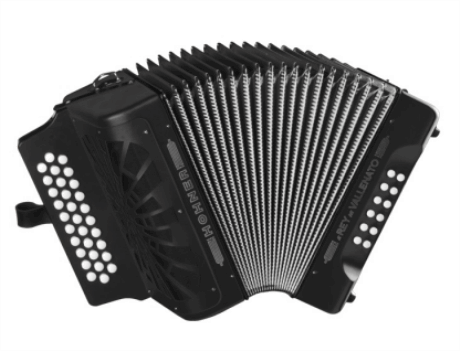 Acordeon Hohner El Rey Del Vallenato Diat Modelo A4964s 1100619